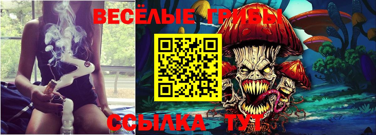 купить закладку  Псилоцибиновые грибы ЛСД  Вход с VPN  Юрга 