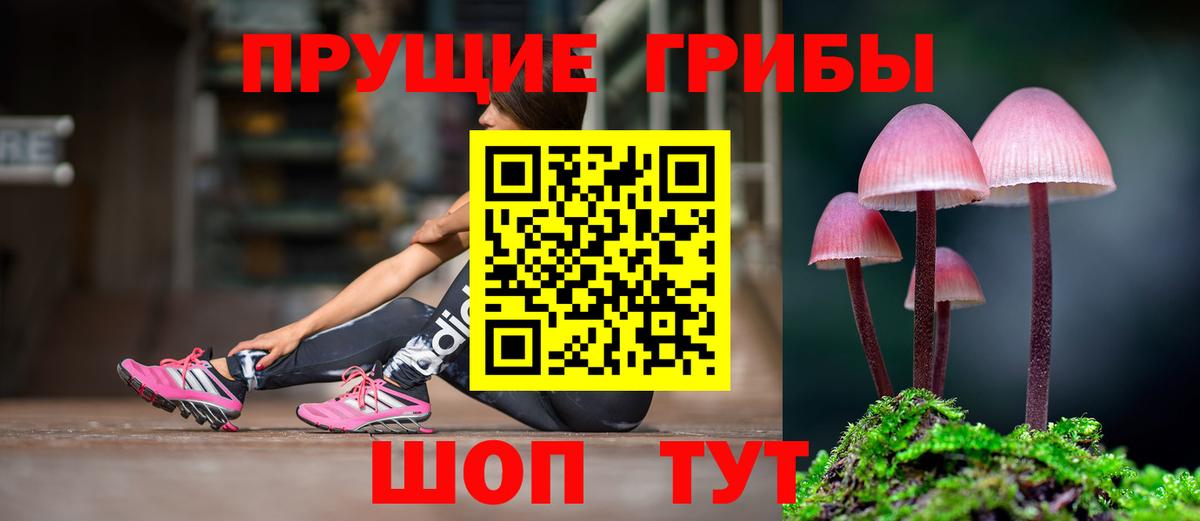 Галлюциногенные грибы мухоморы Юрга
